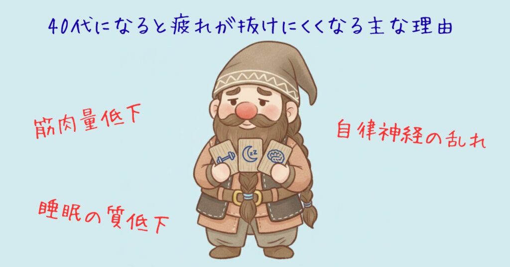 40代になると疲れが抜けにくくなる主な理由を、ドワーフが筋肉量低下・睡眠の質低下・自律神経の乱れのカードを持って表現したイラスト。原因がひと目で分かる見出し画像。
